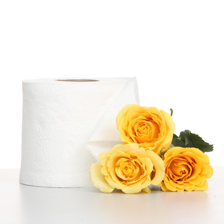 Bamboo Toilet Paper: The Ultimate Sustainable Choice for Modern Living